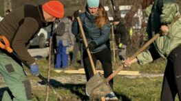 Na Slnečných stráňach symbolicky k výročiu Novembra 1989  vysadili 89 čerešní