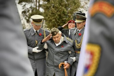 den veteranov4
