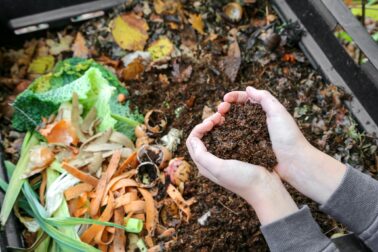 hands holding compost above the composter with organic waste