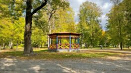 Poslankyňa Javorčíková: Je trúfalé zaväzovať zastupiteľstvo k tomu, aby dopredu rešpektovalo odborný posudok stromov v parku