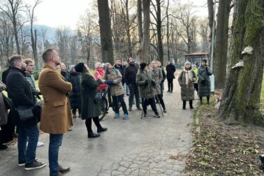 mestsky park stromy
