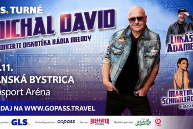 plagat michal david
