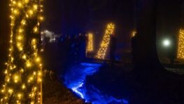 Na vysvietenú Korytnicu sa prišlo pozrieť 5 tisíc ľudí. Budovy, potoky aj najvyšší stromček zostanú vysvietené celú zimu