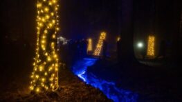 Na vysvietenú Korytnicu sa prišlo pozrieť 5 tisíc ľudí. Budovy, potoky aj najvyšší stromček zostanú vysvietené celú zimu