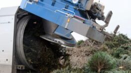 V Banskej Bystrici sa živé vianočné stromčeky po sviatkoch menia na kompost