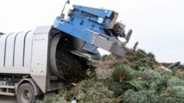 V Banskej Bystrici sa živé vianočné stromčeky po sviatkoch menia na kompost