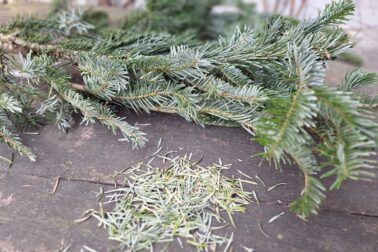 stromceky5