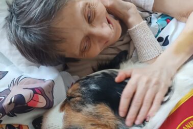 Canisterapia vo zvolenskej nemocnici (3)
