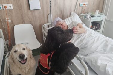 Canisterapia vo zvolenskej nemocnici (5)
