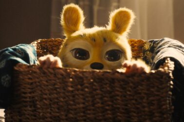 blaznivy-marsupilami-01