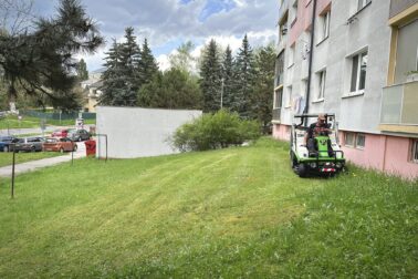 kosenie3
