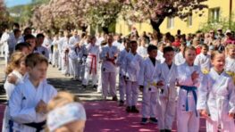 FOTO: Jilemnického ulica v ružovom – Hanami Karate Day spojilo krásu sakúr so silou bojových umení