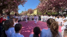 FOTO: Jilemnického ulica v ružovom – Hanami Karate Day spojilo krásu sakúr so silou bojových umení