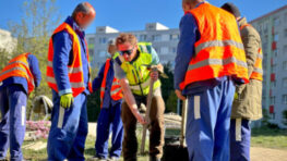 FOTO: ZAaRES zapája do výsadby zelene študentov aj odsúdených