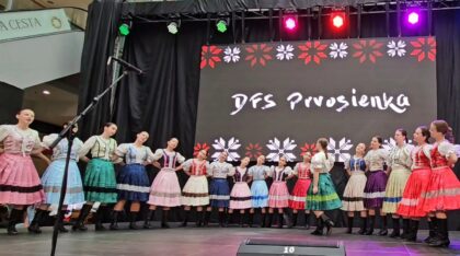 DFS Prvosienka