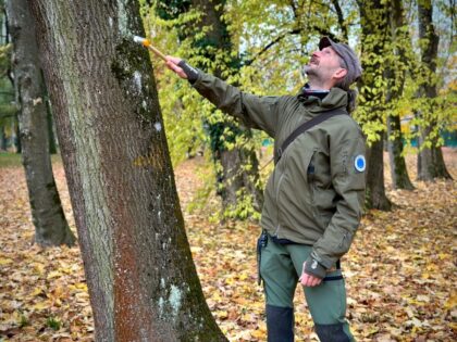 Martin Kolník
