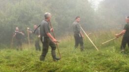 Kosa chráni biodiverzitu: LESY SR pokračujú v tradičnom kosení horských lúk