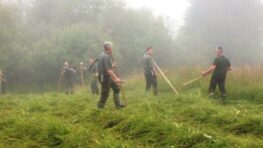 Kosa chráni biodiverzitu: LESY SR pokračujú v tradičnom kosení horských lúk