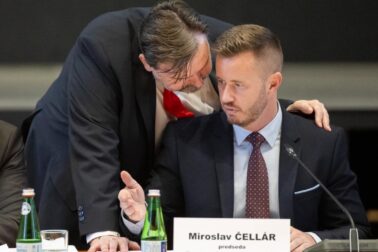 miroslav cellar5
