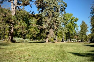 park3