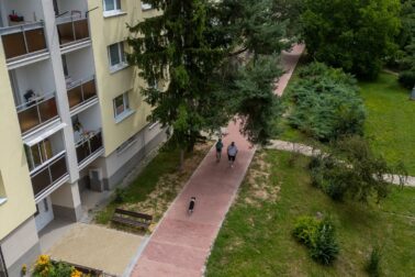 sasova8